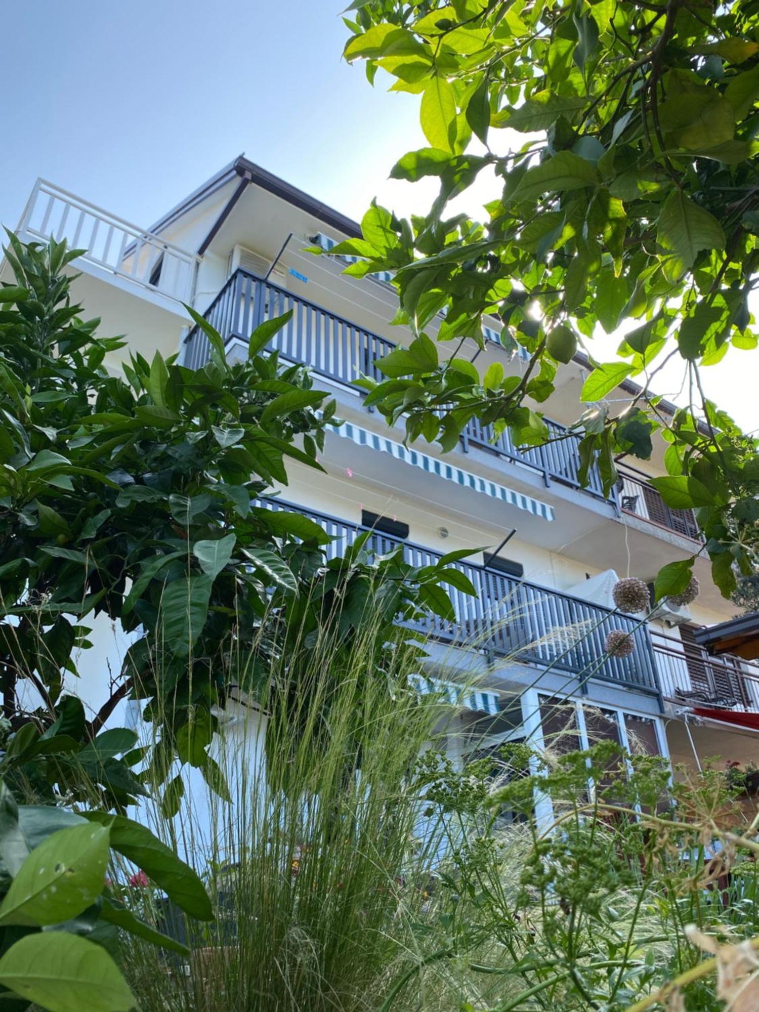 Villa Drazana Gradac  Kültér fotó